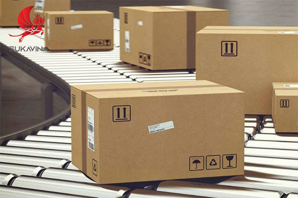 Kh&aacute;m ph&aacute; d&acirc;y chuyền sản xuất th&ugrave;ng carton hiện đại